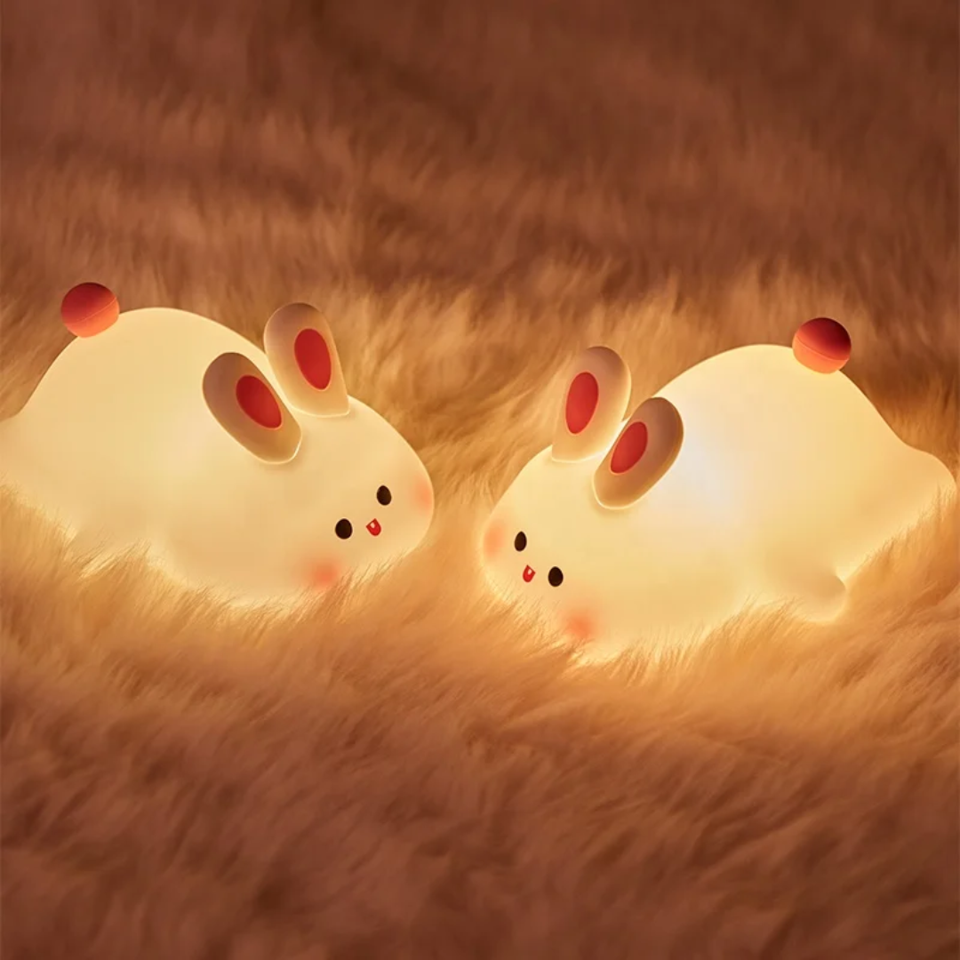 2026/02/229779.png