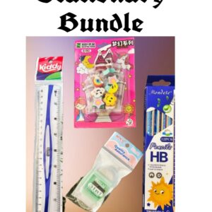Stationary Bundle
